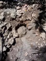 20131213_121801.webp