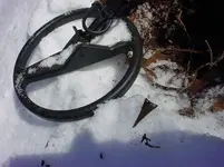 snowfind1.webp