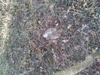 20131219_125538.webp