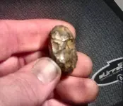 meteorite.webp
