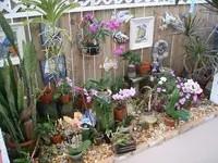 2012-12-04 07.51.51.webp