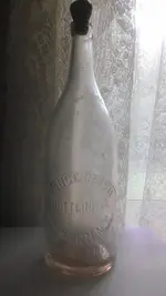 IMAG1537.webp
