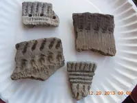 DSCN3624.webp