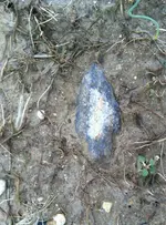 image-347811095.webp