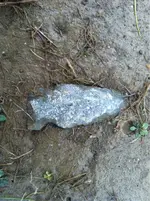 image-375220279.webp
