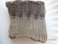 DSCN3626.webp