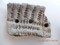 DSCN3627.webp