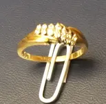 Ring.webp
