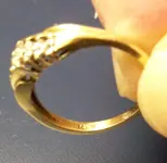 Ring 1.webp