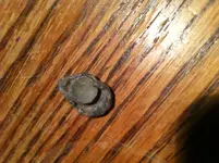 IMG_0138[1].webp