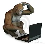 perplexed-gorilla-laptop-160102.webp