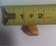 image-1786028510.webp