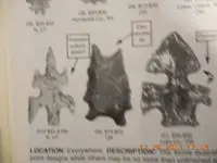 DSCN3645.webp