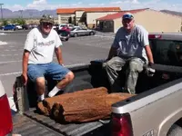 petrified wood 8-09 New Mexico.webp petrified wood 8-09 New Mexico.webp