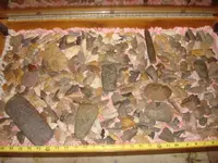 DSC09920.webp