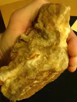 rock14.webp