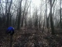 h620-12-13 (2).webp