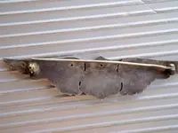 DSC05681_00.webp