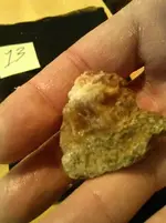 rock24.webp