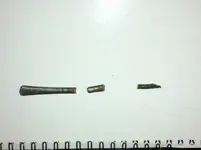burn find 001.webp