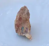 opals  jan 2014 019.webp