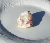 opals  jan 2014 015.webp