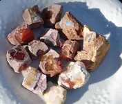 opals  jan 2014 054.webp