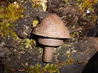 DSCF0455.webp