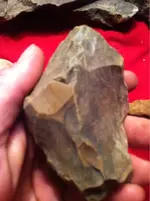 image-1699495345.webp