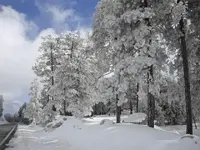 Mount Lemon.webp