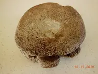 DSCN2988.webp