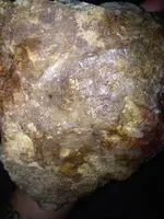 image-746957266.webp
