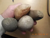DSCN3651.webp