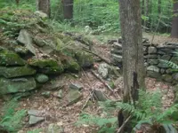 101_3907.webp