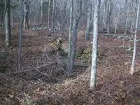 111_4724.webp