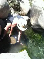 IMG959207.webp IMG959207.webp