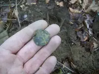 113_4742.webp