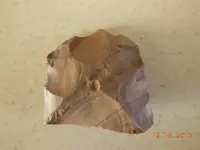 DSCN3297.webp