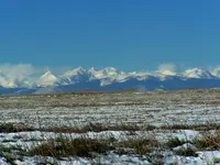 co field.webp