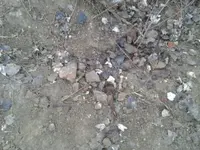 2011-01-22 16.20.54.webp