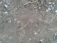 2011-01-22 16.21.42.webp