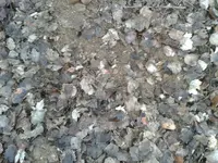 2011-01-22 16.22.08.webp