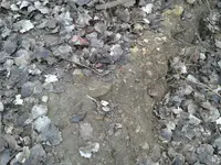 2011-01-22 16.23.21.webp