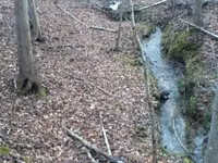 IMG_0610.webp