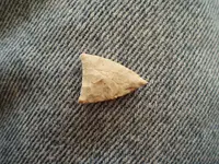 triangle pt 002.webp triangle pt 002.webp