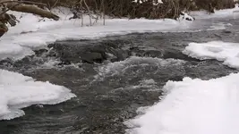 DSCF0924.webp