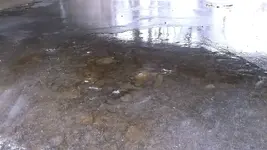 DSCF0923.webp