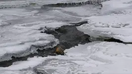 DSCF0905.webp