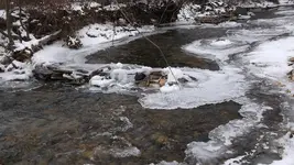 DSCF0859.webp