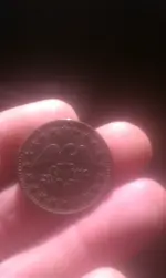 IMAG1683.webp